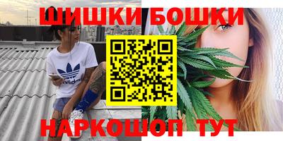 СК Камышлов