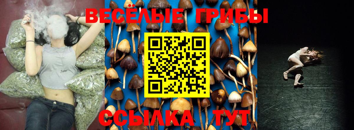 Галлюциногенные грибы прущие грибы Абинск
